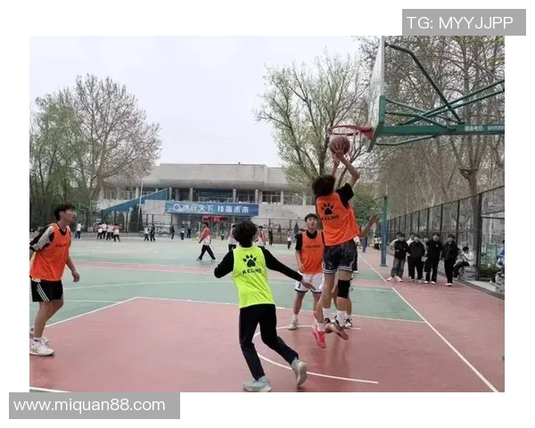 篮球燃动青春逐梦赛场展现团队拼搏与荣耀时刻